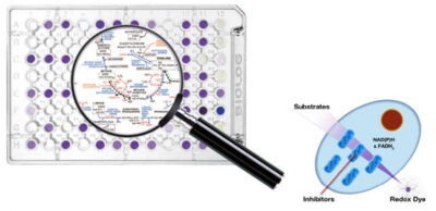 Mitoplate