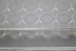 YT MicroPlate - For identification and for Metabolic Analysis of Yeast Cells