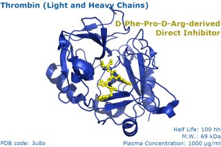 Thrombine humaine